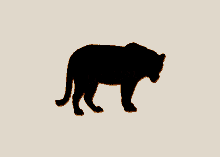 a logo for tigerband productions with a silhouette of a cat