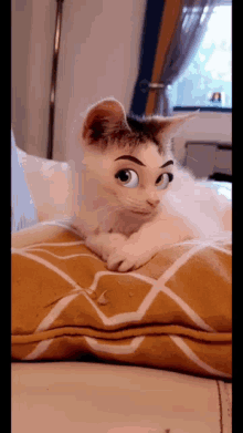 Cat Cute GIF - Cat Cute Cutecat GIFs
