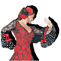 Sevillanas Burgos Flamenco Burgos Sticker