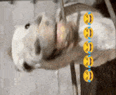 a picture of a horse with smiley faces on it 's face