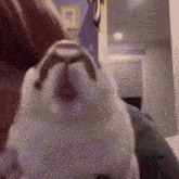 a close up of a person 's face with a stuffed animal in the foreground .