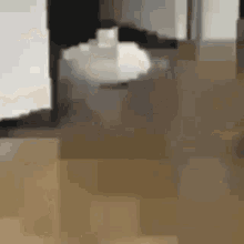Cursed Cat GIF - Cursed Cat GIFs