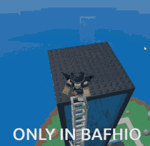 Bafhio GIF - Bafhio GIFs