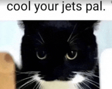 Cool Yo Jets GIF - Cool Yo Jets GIFs