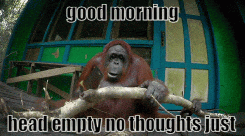 Good Morning Monke Gm Epics GIF - Good Morning Monke Gm Epics Good Morning - Discover & Share GIFs Good Morning Monke Gm Epics GIF - Good Morning Monke Gm Epics Good Morning - Discover & Share GIFs
