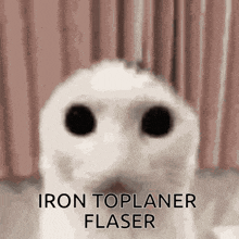 a close up of a cat 's face with the words " iron toplaner flaser " above it