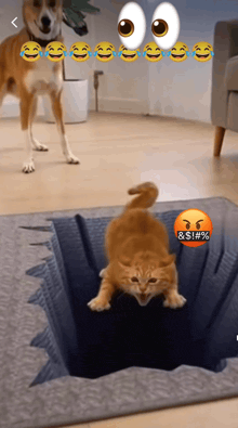 a cat is jumping out of a hole and a dog is standing in the background