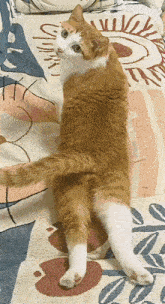 an orange and white cat is laying on its back on a blanket