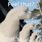 Feel That Thats Feel That Thats Friday GIF