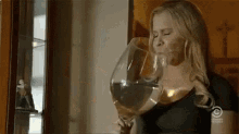 One Glass Of Wine Drinking GIF - One Glass Of Wine Drinking Amy Schumer GIFs