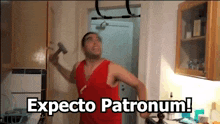 a man is holding a hammer in his hand and says expecto patronum !
