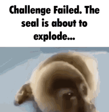 Challenge Failed The Seal Is About To Explode GIF - Challenge Failed The Seal Is About To Explode Gunfire GIFs