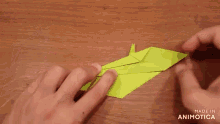 a person is making an origami frog with the words made in animotica in the lower right corner