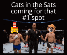 Catsinthesats Bitcoin GIF - Catsinthesats Bitcoin Memecoin GIFs