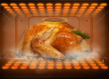Microwave Turkey GIF - Microwave Turkey GIFs