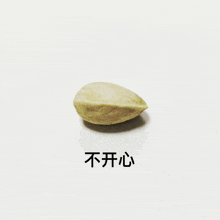 a peanut on a white background with chinese writing