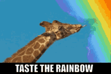 Taste The Rainbow Giraffe GIF