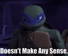 a picture of a teenage mutant ninja turtle with the caption " doesn 't make any sense "