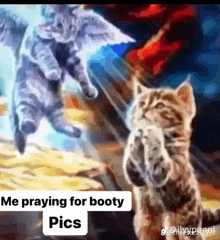 a painting of two kittens praying with the caption me praying for booty pics