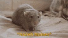 Mnt7r Nazeh Rat GIF