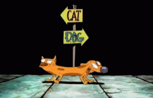 Cat Dog Cartoon GIF - Cat Dog Cartoon - Discover & Share GIFs
