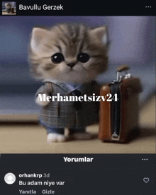 a picture of a kitten holding a suitcase with the name merhametsizv24