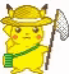 pokemon pikachu hat net