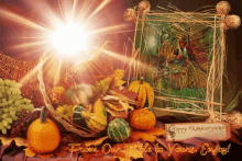 Seasonal Thanksgiving GIF