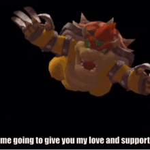 strikers love and support mario strikers charged love support