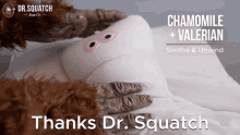 Thanks Dr Squatch Thanks Doctor Squatch GIF - Thanks Dr Squatch Thanks Doctor Squatch Dr Squatch GIFs