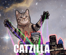 Cat Catzilla GIF - Cat Catzilla GIFs