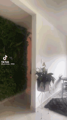 a tiktok video of a plant in a pot