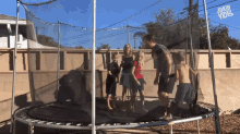 Trampoline Ripped GIF - Trampoline Ripped Collapsed GIFs