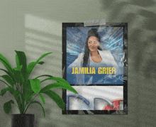 a framed poster of a woman named jamilia grier
