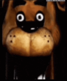a close up of a teddy bear 's face with a black background .