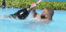 dj khaled pool swimming beer