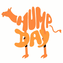 day camel