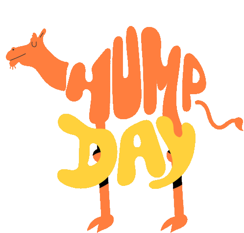 Hump Day Wednesday Sticker - Hump Day Wednesday Camel Stickers