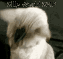 Silly World GIF - Silly World Silly World GIFs