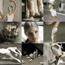 a collage of images of ballerinas including a swan