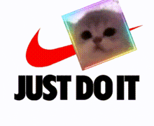 a nike logo that says just do it with a cat