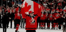 Team Canada Canada GIF - Team Canada Canada Hockey GIFs