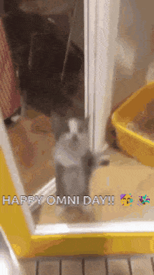 a gray and white cat is standing in front of a yellow litter box .