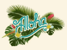 Aloha Hawaii GIF - Aloha Hawaii GIFs