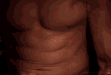 a close up of a man 's torso with the words smarter every day on the bottom