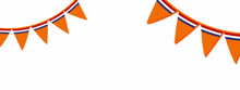 a cartoon illustration of een beetje with orange flags behind it