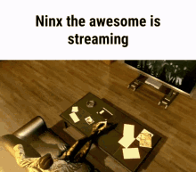 Ninx The Awesome Stream GIF - Ninx The Awesome Stream Streamer GIFs