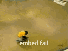Embed Embed Fail GIF - Embed Embed Fail GIFs