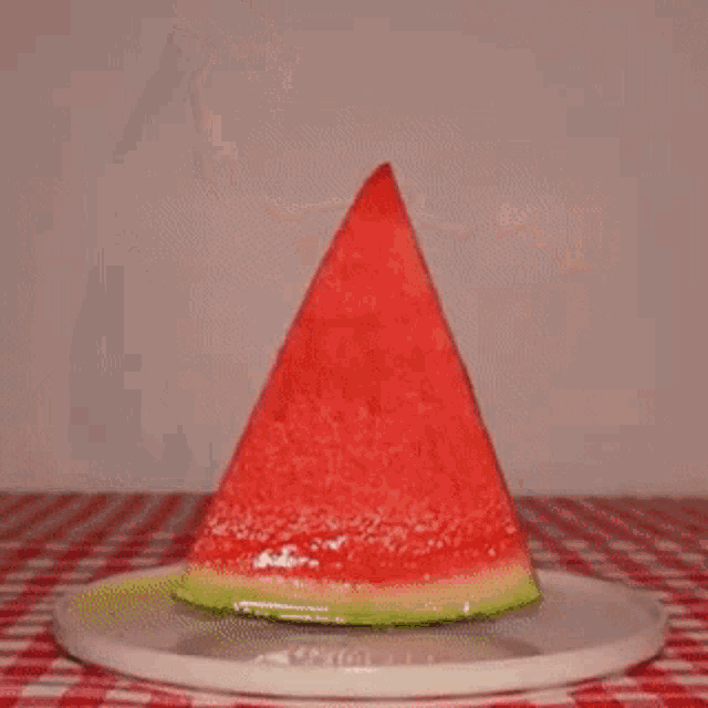 cat-watermelon.gif