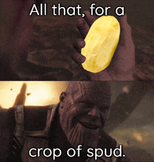 a picture of thanos holding a potato with the words all that for a crop of spud